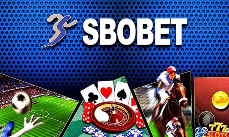 Cá độ sbobet may88 là gì và có điểm gì thu hút người chơi